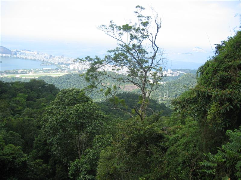 Brasil 2006-04 006